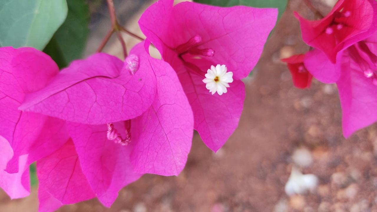 Kanthi Resorts Badami Bagalkot Exterior photo