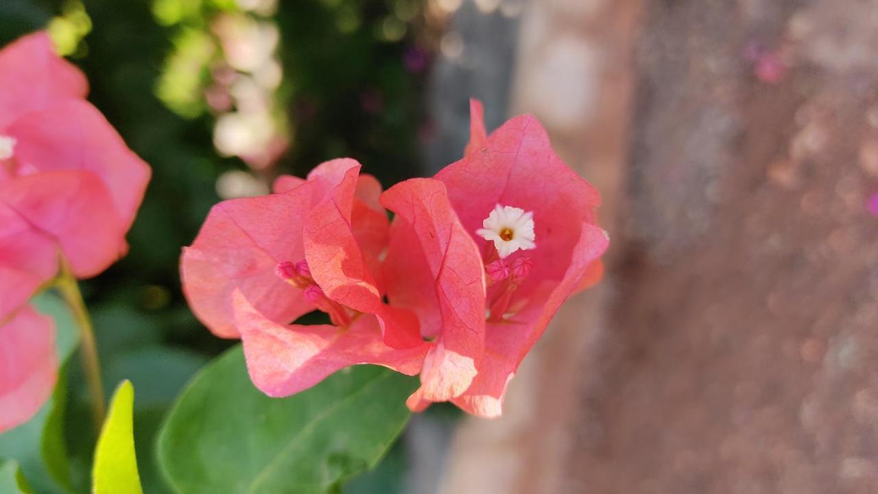 Kanthi Resorts Badami Bagalkot Exterior photo